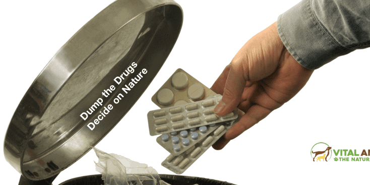 Why This Vet Tossed His Drugs