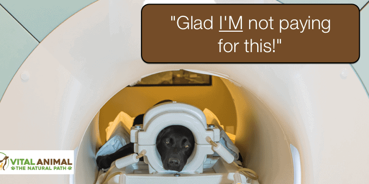 Seizures + MRI: Do You Really Need One?