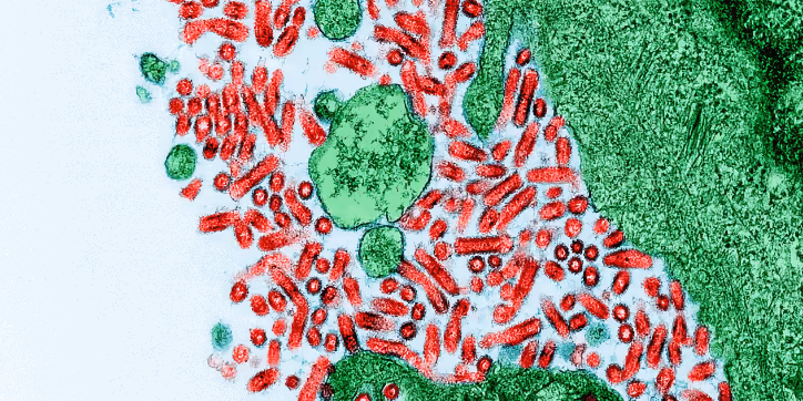 ep 40 rabies virus 880x360