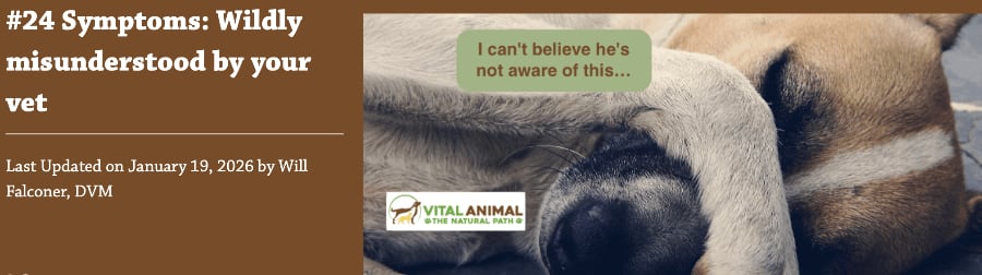 Listen to Symptoms: Wildly Misunderstood by Your Vet