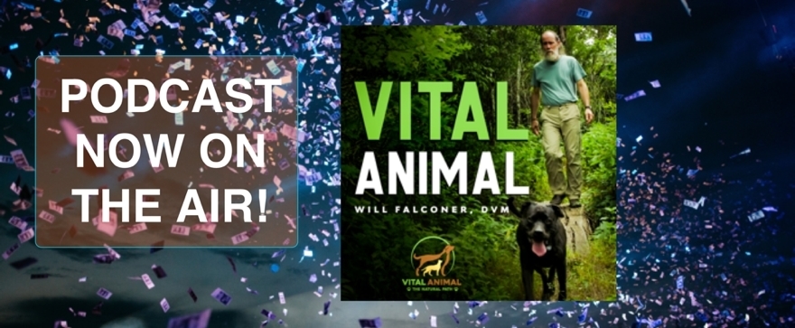 Welcome to the Vital Animal Podcast!