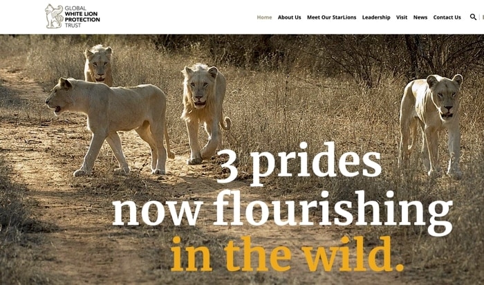 The Global White Lion Protection Trust