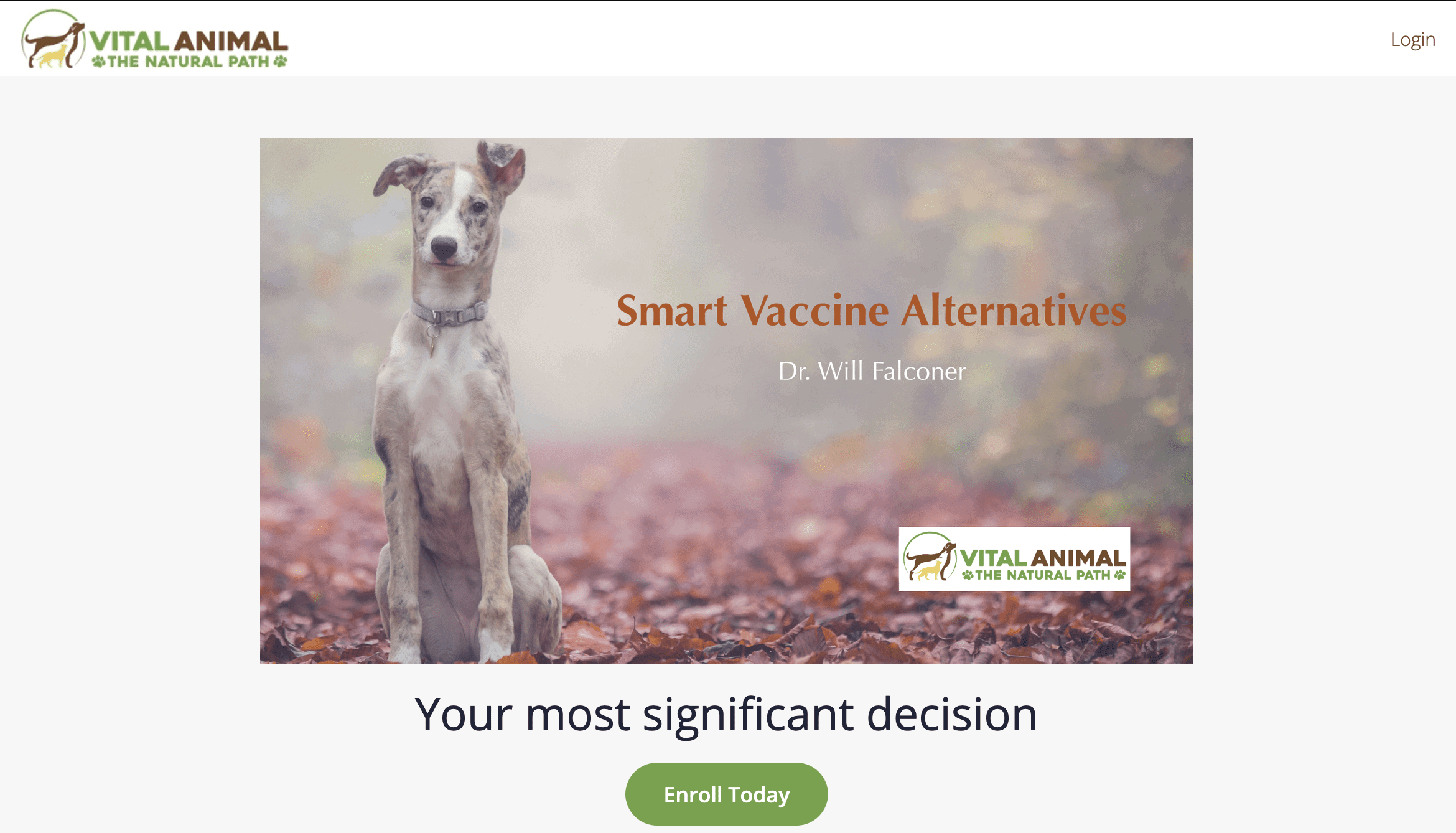 sva login upper right