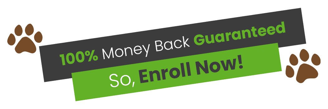 Image to Enroll Now