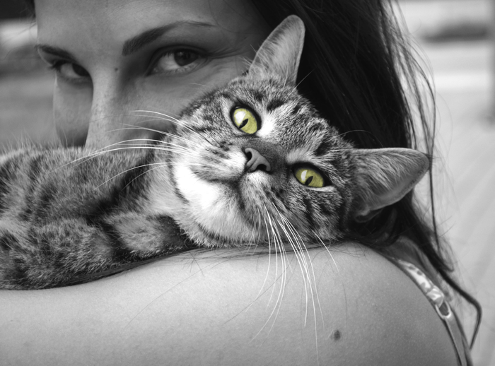 Cat hug, green eyes b:w