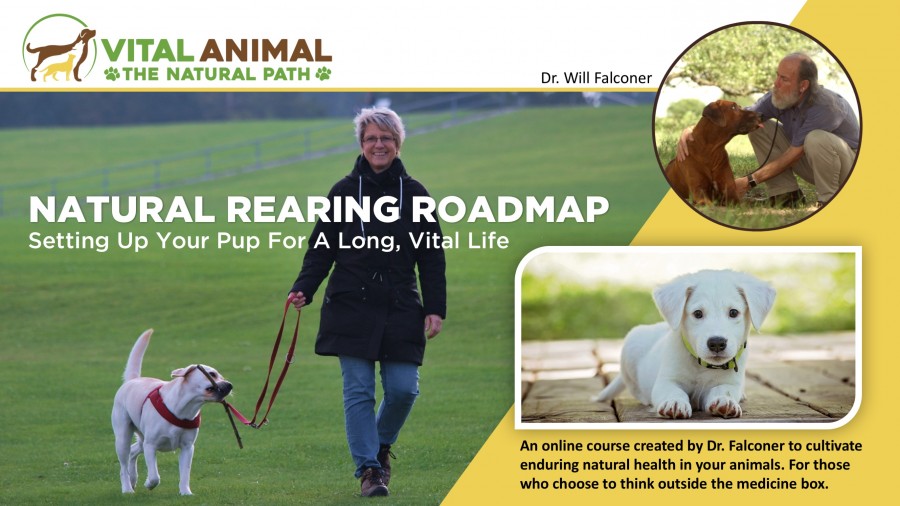 Natural Rearing Roadmap cover image