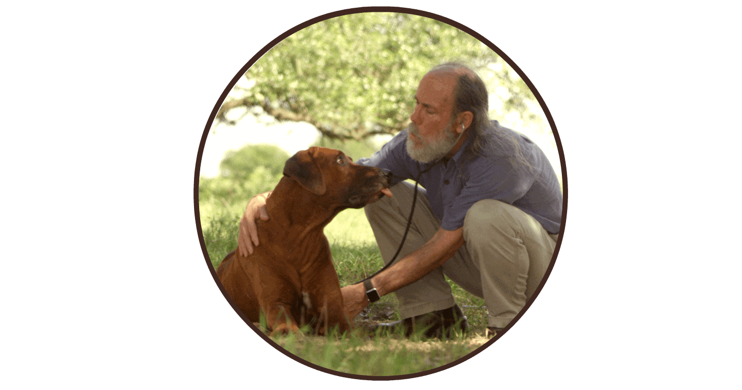 Will-Dog-circle-brownborder