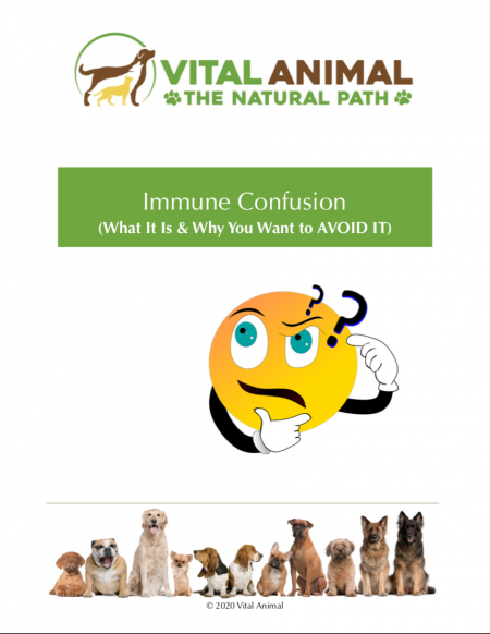 Immune confusiong screenshot cover
