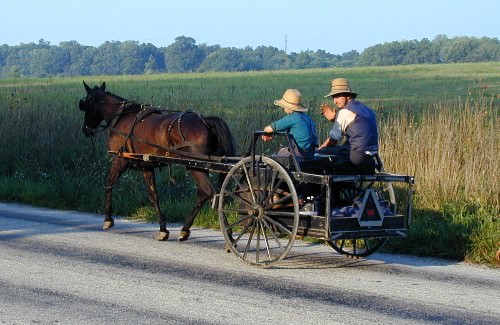 Amish Farm Kid and Father