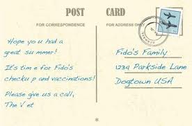 Pet Vaccination Postcard
