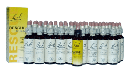 bach-flower-remedies-dr-will-falconer-veterinarian-homeopathic-vital-animal-the-natural-path