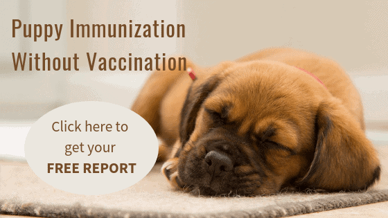 Puppy Immunization Without Vaccination