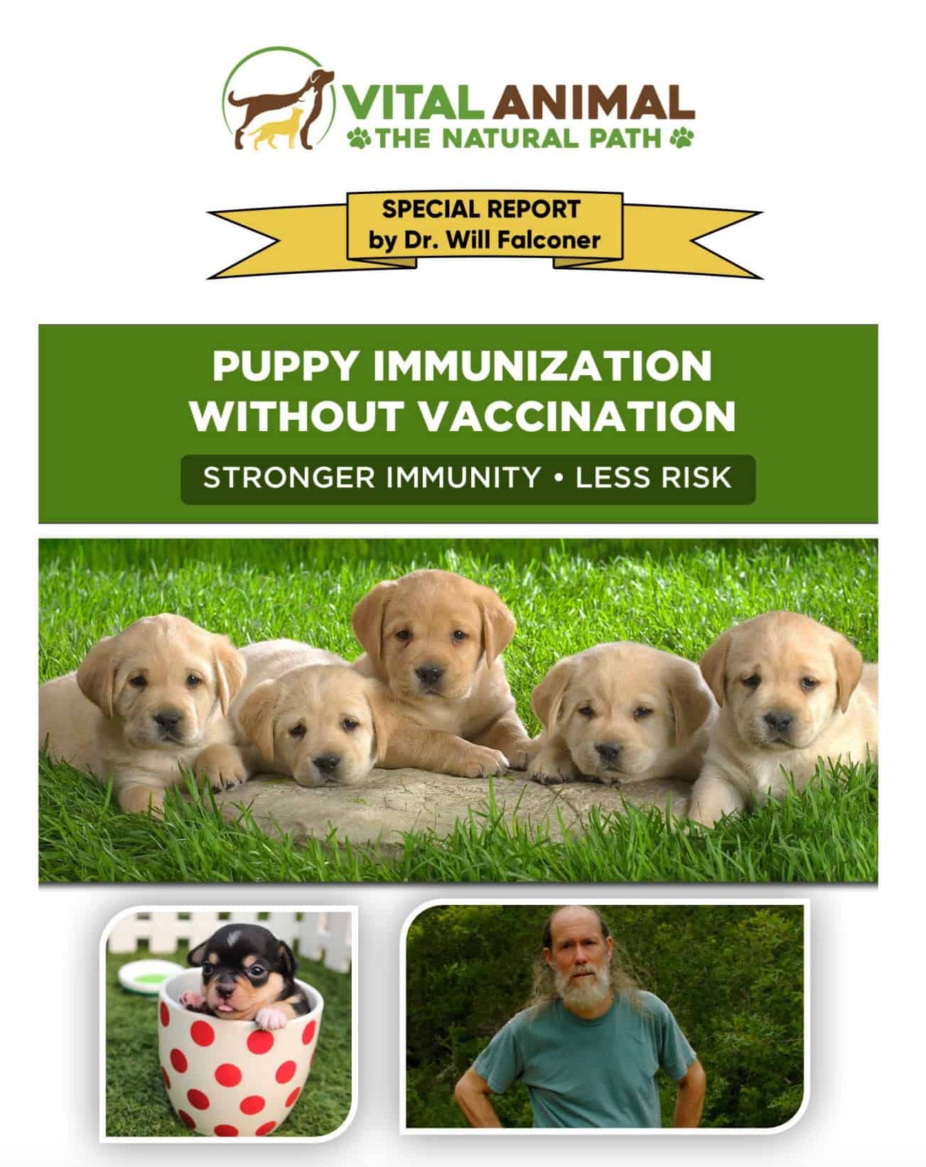 Puppy Immunization Cover