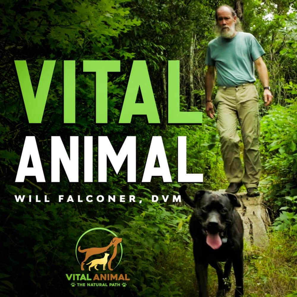 Vital Animal Podcast art