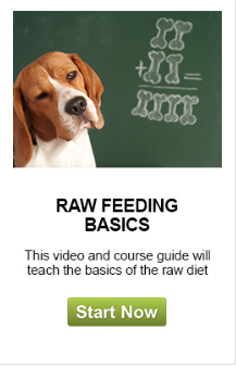 DNM Raw Feeding Basics course:link