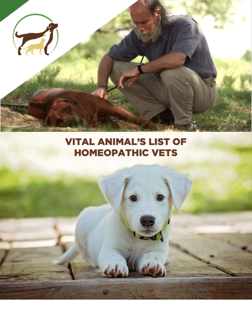 Homeopathic Vet List cover image 500x647