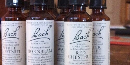 Bach-Flower-Remedies-Vital-Animal-Dr-Falconer-Homeopathic-Vet