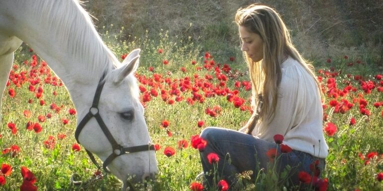 Eleni, horse, sitting poppies 880x386