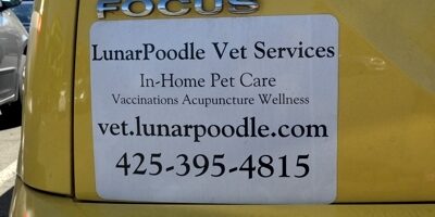 fauxlistic vet bumper sticker