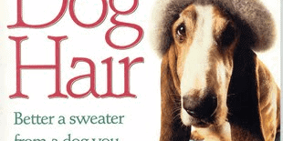 Knitting with Dog Hair