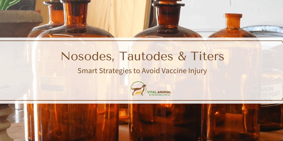 Nosodes, Tautodes & Titers course